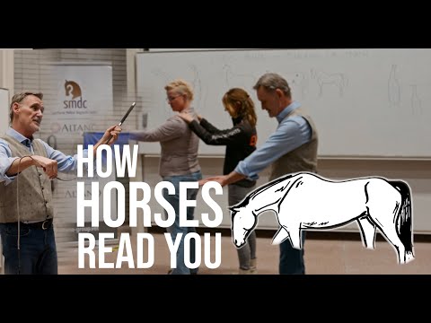 The Science of Feel: Chris Irwin on Veterinary Horsemanship | Utrecht University Lecture