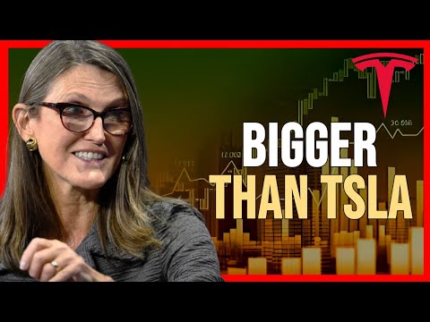 This Stock Will Go 100X (Bigger Than TSLA)!