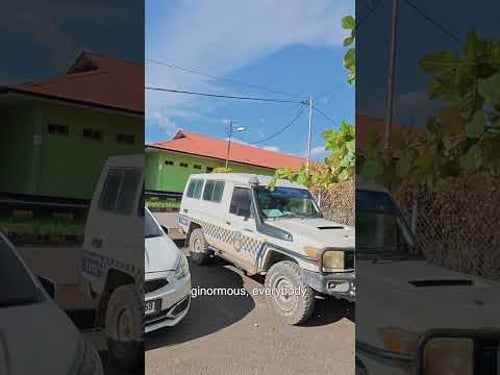 Feeding Police Crocodiles in Timor-Leste ๐น๐ฑ