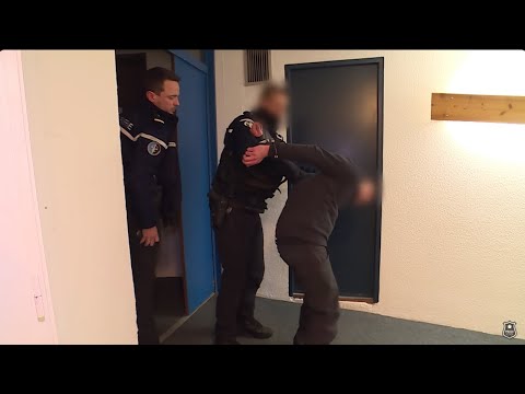 Gendarmes des Alpes : Lutte Contre les Violences et Stupéfiants