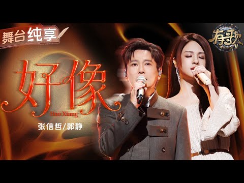 【纯享版】听完眼泪根本绷不住!张信哲郭静心碎合唱《好像》 直白歌词刻画爱情中的自我挣扎与求而不得的遗憾! #有歌2 EP3 20260116