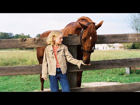 断腿马奇迹般痊愈后,疯狂奔跑拿下1400万美金大奖,这就是梦想的力量,20分钟看完2005年运动励志电影《梦想奔驰》