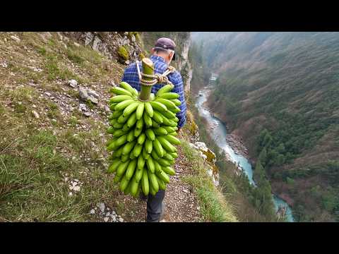 50 kg of Bananas on His Back | Grandpa Risks His Life on a Mountain Cliff