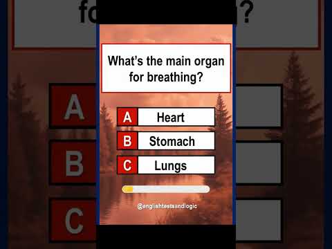 What’s the Main Organ For Breathing? #shorts #quiz #trivia #quiztime #gkquiz