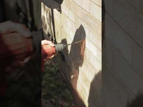 No Brick Pop This Time Around ๐