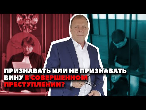 Признание вины - особый порядок: мошенничество, налоговые преступления\\ Бизнес-адвокат Павел Тылик