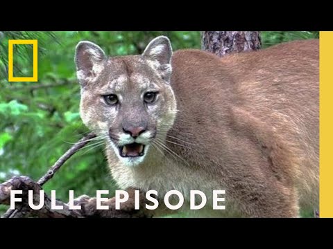 Everything Went Dark (Full Episode) | Something Bit Me