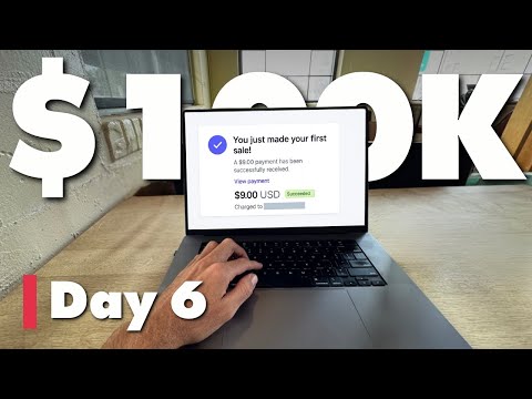 My app sucks, but I launched anyways... | $100K Challenge Day 6
