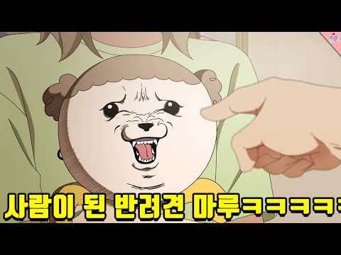 키우는 강아지가 하루아침에 사람이 되면 일어나는 일ㅋㅋ(진짜 개졸귀임ㅠㅠㅋㅋ)