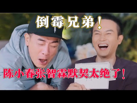 陈小春张智霖真的太有默契!猜数字精准命中对方想法!十几年的友情真不是吹的!