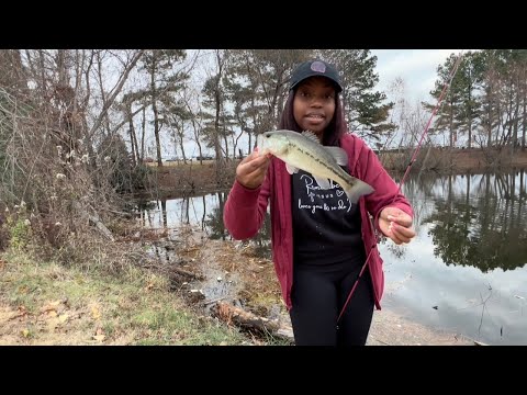 BAIT OF CHOICE, “MINNOWS!”