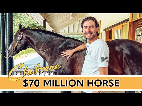 Inside Claiborne Farm - Home of Secretariat & Racing Legends