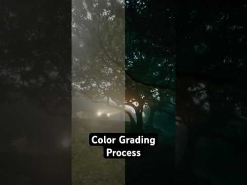 How I Color Grade My Videos