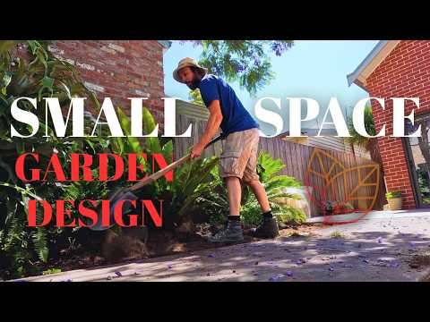 Finding Space, Light, and Calm in a Small Garden