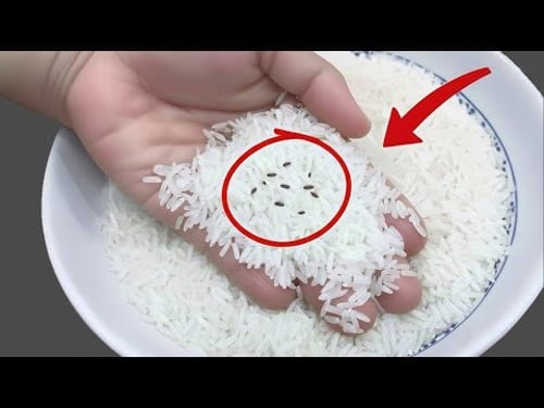 Don’t toss it out! This 2 minute hack banishes rice weevils instantly