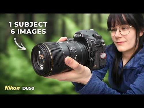 The Subtle Scenes of Summer: Woodland Photography with the D850