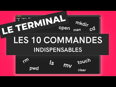 The terminal: 10 essential commands