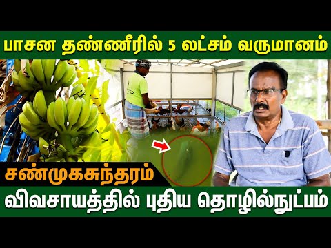 In integrated farming, everything is about profit - Shanmuga Sundaram #agriculture #integratedfar...