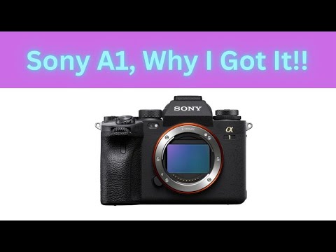 Sony A1 - Still Worth It 2024 & Why I Got It!