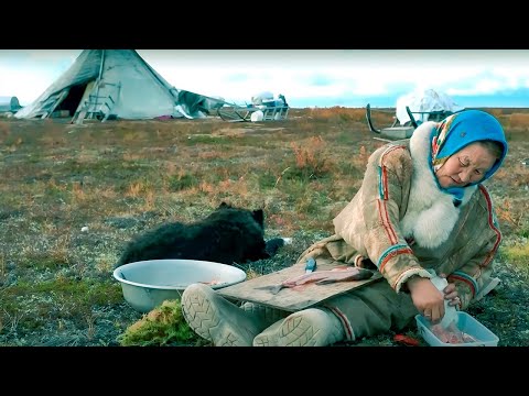Why the Nenets do not eat the pike raw | Facts