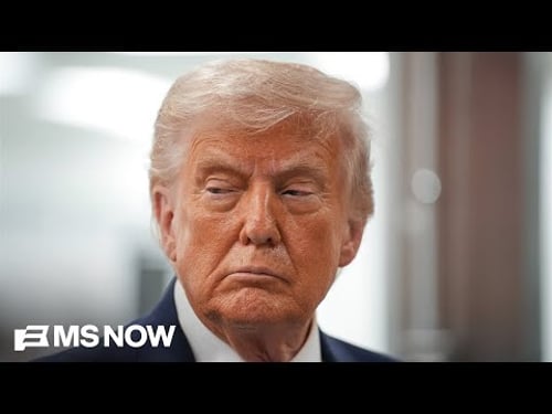 Trump ‘completely misunderstood’ Iranian regime’s capacity for resistance: Dem Rep.