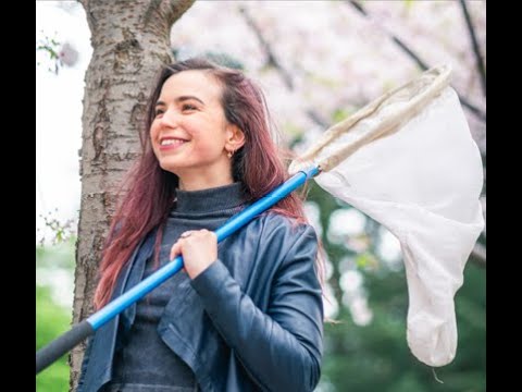 Dr. Nina Sokolov - The Artistic Musings of a Bee Disease Ecologist