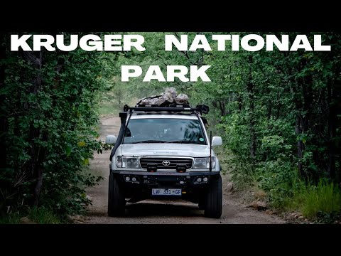 THE BEST OF KRUGER | TSENDZE & PUNDA MARIA | Episode 1