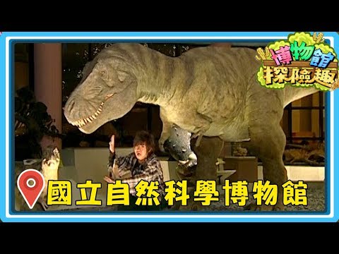 【國立自然科學博物館】博物館探險趣|第2季 第3集|藝術|自然|歷史|知識|兒童