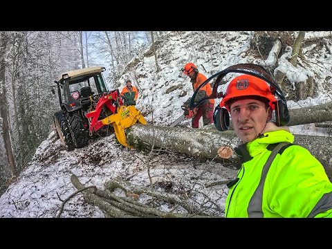 ПИЛЯЄМО ЛІС на ДРОВА. Працюю на фермі у Швейцарії. Новий Рік
