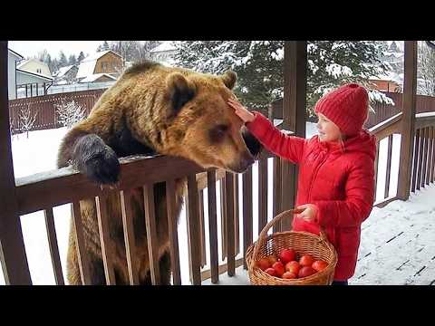 When Dangerous Animals Are Surprisingly Friendly ❤️ Caught on Camera