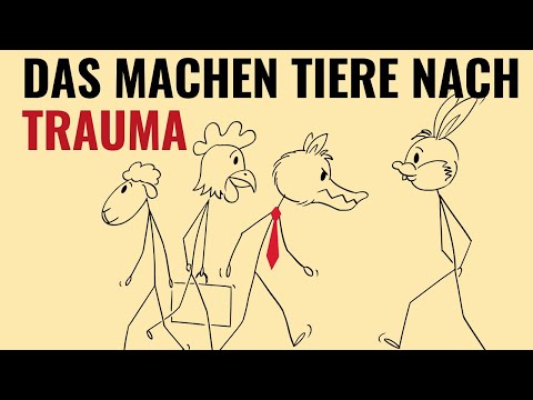 Was Tiere nach Trauma tun – und warum diese Übungen dein Nervensystem beruhigen
