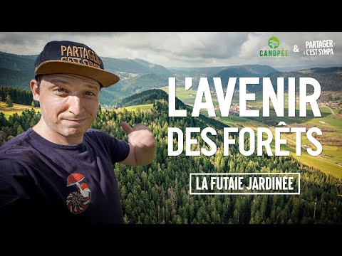 La futaie jardinée : L' Avenir des forêts a déjà 130 ans !