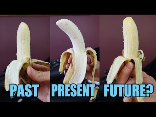 BANANAS OF THE PAST & FUTURE - Comparing the Gros Michel with the Cavendish and Goldfinger