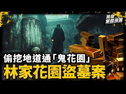 政大學霸淪搶匪!台美高知識份子聯手盜墓!偷挖通道通板橋林家「鬼花園」|文史專家 管仁健|林家花園盜墓案|《我在案發現場》