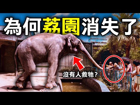 由風靡全港到黯然沒落 3個荔園消失的真實原因|原子檔案