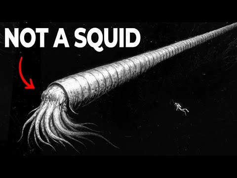 Why Did Prehistoric Oceans Have So Many Giants?