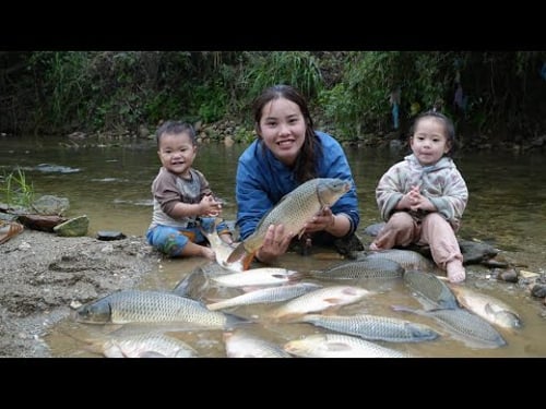 How to harvest giant fish to sell at the market with your little daughter