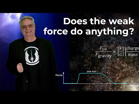 Deep dive into the known forces