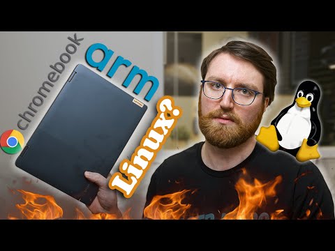 I Should NEVER Have Listened To Your TERRIBLE Linux Idea...