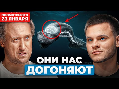 Are we the only intelligent beings in this world? These animals are catching up with us! Moscow S...