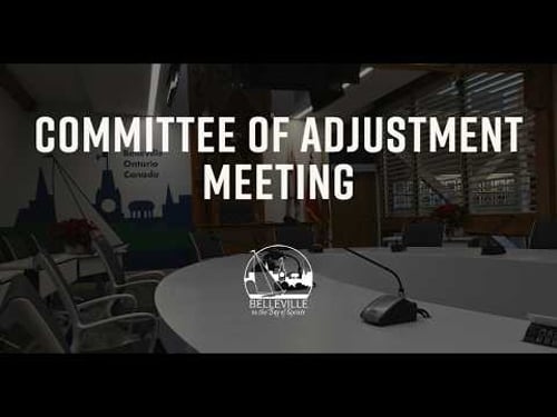 Committee of Adjustment - 19 Feb 2026