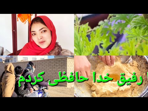 یک روز تنهای زهرا بدون رفیق 😔😔در نبود رفیق زهرا چی کارهای کرد 🤩🤩
