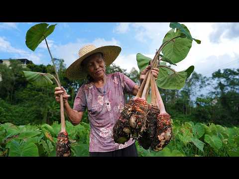 Steamed yam cakes and traditional delicacies |Guangxi Grandma