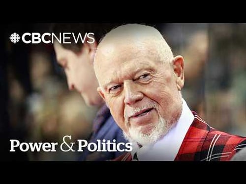 Conservatives divided over push to nominate Don Cherry to Order of Canada | Power & Politics