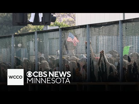 California is suing the Trump administration — here's why