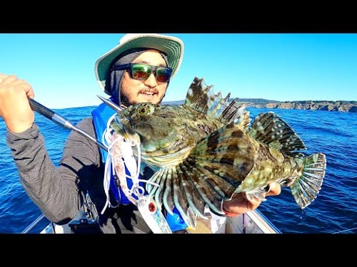 How This Fish TASTES LIKE CRAB | Solo Boat Fishing