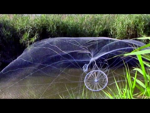 Рыбалка на кастинговую сеть и подъёмник 2019 На что больше поймаешь.........