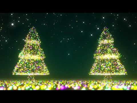 LIGHT UP CHIRSTMAS TREE BACKGROUND LOOP. Xmas VJ Loop. Christmas Tree (No Sound)