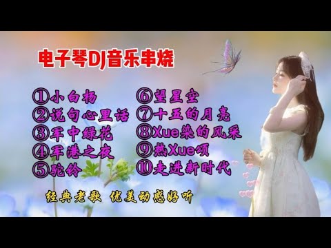 电子琴DJ音乐《小白杨》等十首串烧,经典老歌,优美动感好听