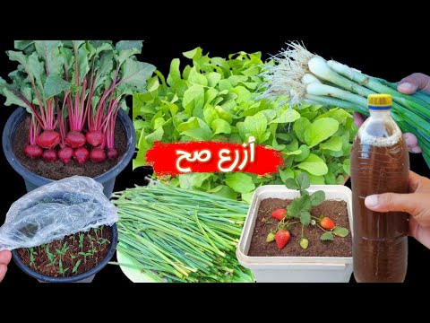 تعلم الزراعة من الألف إلى الياء في 30 دقيقة كورس الزراعة المجاني